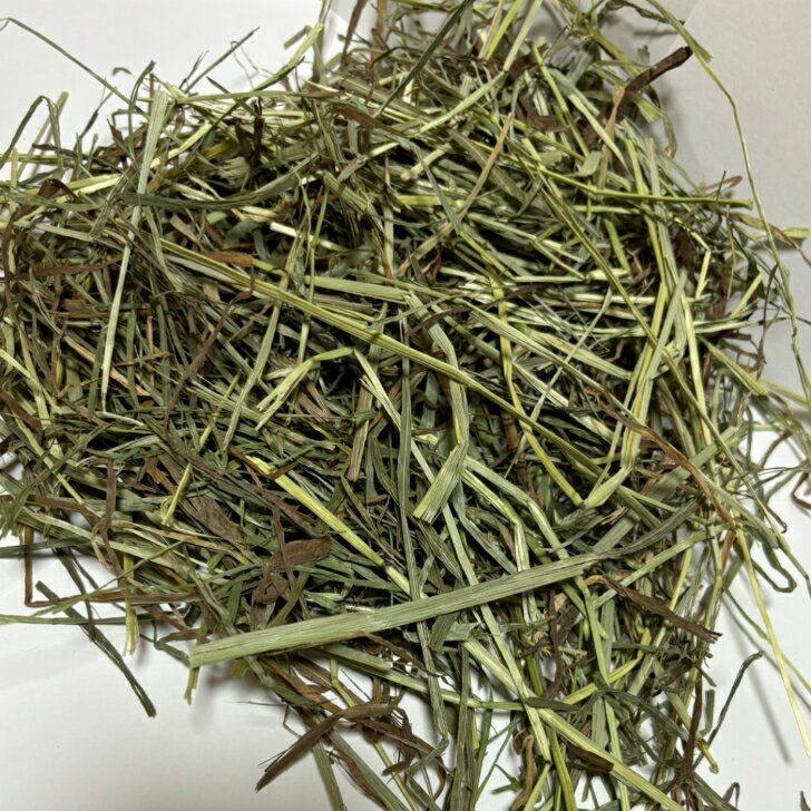 【any grass】 カナダ産 チモシー 2番刈り プレミアムソフトAL 1Kg~10Kg 牧草