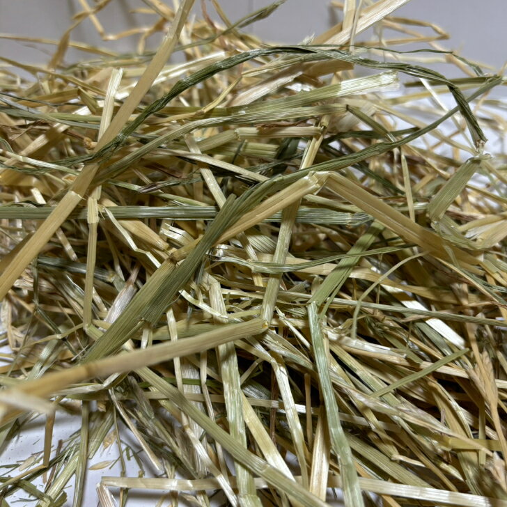 【any grass】 USA産 イタリアンライグラス 1Kg~15Kg 牧草