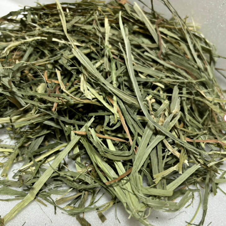 【any grass】 USA産 チモシー 3番刈り プレミアムソフトfeel 1Kg~10Kg 牧草
