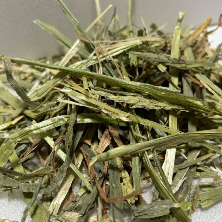【any grass】 オーストラリア産 ウィ...の紹介画像2
