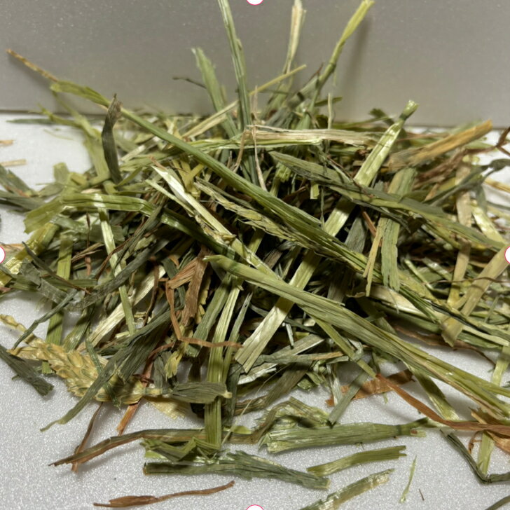 【any grass】 オーストラリア産 ウィートヘイ パスチャーグリーン 1~10Kg 牧草