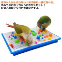小鳥のおもちゃセット オカメインコ 鳥のおもちゃ バードトイ 鳥グッズ 鳥 おもちゃ プラスチック 鳥用玩具 小鳥 ストレス解消 セキセイインコ ルリゴシボタン...