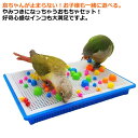 鳥ちゃんが止まらない！お子様も一緒に遊べる。やみつきになっちゃうおもちゃセット！好奇心盛なインコも大満足ですよ。室内での放鳥時に、小鳥と一緒に遊べます。※本品は手のりとして飼育された小鳥専用です。机の上·ケージの上など、お好きな場所が小鳥の楽しい遊び場 になります。ストレス発散ゃ日常的な遊びにおすすめ！自由な組み換えが可能で、 飼い主のあなたにも楽しめます。小鳥の生活も豊富になれる！ サイズ F サイズについての説明 サイズ：梱包サイズ：29*22*4cm※サイズ計測には誤差が生じます。 素材 PPプラスチック 色 写真色 備考 ●サイズ詳細等の測り方はスタッフ間で統一、徹底はしておりますが、実寸は商品によって若干の誤差(1cm～3cm )がある場合がございますので、予めご了承ください。 ●製造ロットにより、細部形状の違いや、同色でも色味に多少の誤差が生じます。 ●パッケージは改良のため予告なく仕様を変更する場合があります。 ▼商品の色は、撮影時の光や、お客様のモニターの色具合などにより、実際の商品と異なる場合がございます。あらかじめ、ご了承ください。 ▼生地の特性上、やや匂いが強く感じられるものもございます。数日のご使用や陰干しなどで気になる匂いはほとんど感じられなくなります。 ▼同じ商品でも生産時期により形やサイズ、カラーに多少の誤差が生じる場合もございます。 ▼他店舗でも在庫を共有して販売をしている為、受注後欠品となる場合もございます。予め、ご了承お願い申し上げます。 ▼出荷前に全て検品を行っておりますが、万が一商品に不具合があった場合は、お問い合わせフォームまたはメールよりご連絡頂けます様お願い申し上げます。速やかに対応致しますのでご安心ください。