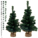 40cm テーブル 北欧 ミニクリスマスツリー 部屋 ミニツリー 玄関 50cm 上品 ミニツリー ナチュラル 小さい 小さめ 小物 足元 かわいい 卓上 高級 豪華 おしゃれ 装飾 ミニツリー ヌードツリー バーラップ 麻 インテリア 置物