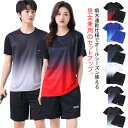 上下セット メンズ Tシャツ レディース サウナスーツ 無地 スポーツウェア パンツ 半袖Tシャツ トレーニングウェア 短パン 半ズボン ルームウェア パジャマ 吸水速乾 ジャージ グラデーション ハーフパンツ 部屋着 フィットネス 大人 送料無料