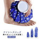 スプレーノズル 3サイズ 氷嚢 氷のう アイシングバッグ 氷バッグ 冷却 アイスバッグ 応急処置 スポーツ ゴルフ 暑さ対策 熱中症 野球 持ち運び 部活 送料無料 膝 足首