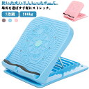 ストレッチボード コンパクト ストレッチボード 耐荷重 ストレッチ器具 X脚 アキレス腱 背中 腰 健康 200kg ストレッチボード 足つぼ 足痩せ むくみ 体幹 足首 7段階 ストレッチ 角度 ふくらはぎ 器具 グッズ 段階調整 立仕事 柔軟
