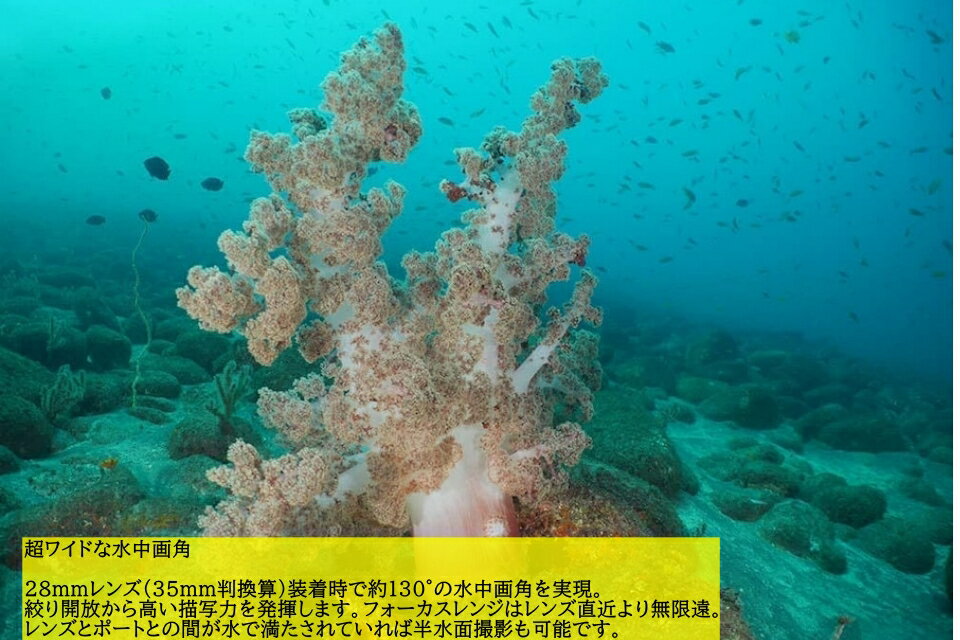 Nauticam NA ワイドコンバージョンレンズ WWL-1B #21270 ノーティカム 水中カメラ ダイビング水中撮影 カメラレンズ レンズ コンパクト ワイドレンズ