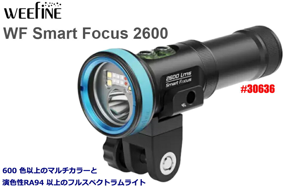 GOOD TIMEのWEEFINE WF SmartFocus 2600 #30636 水中ライト ダイビング ストロボウィファイン 水中カメラ フルスペクトラムライト フラッシュ ビデオライト水中撮影 外部ストロボ｜アングル2