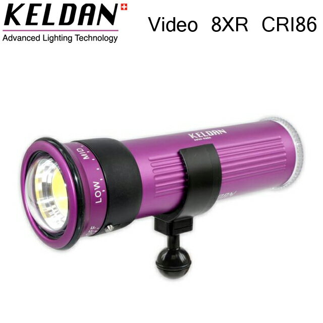 KELDAN Video 8XR CRI86 20000롼󥱥 饤 LED 14.4Vӥ ʥȥӥ󥰥饤 եå ȥ MU-7763 ӥǥ饤 滣