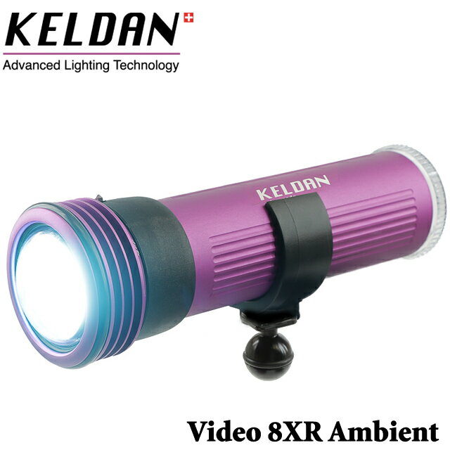 KELDAN Video 8XR Ambient 18000 롼󥱥 饤 LED ӥ ʥȥӥ󥰥饤 եå ȥ MU-7945ӥǥ饤 滣