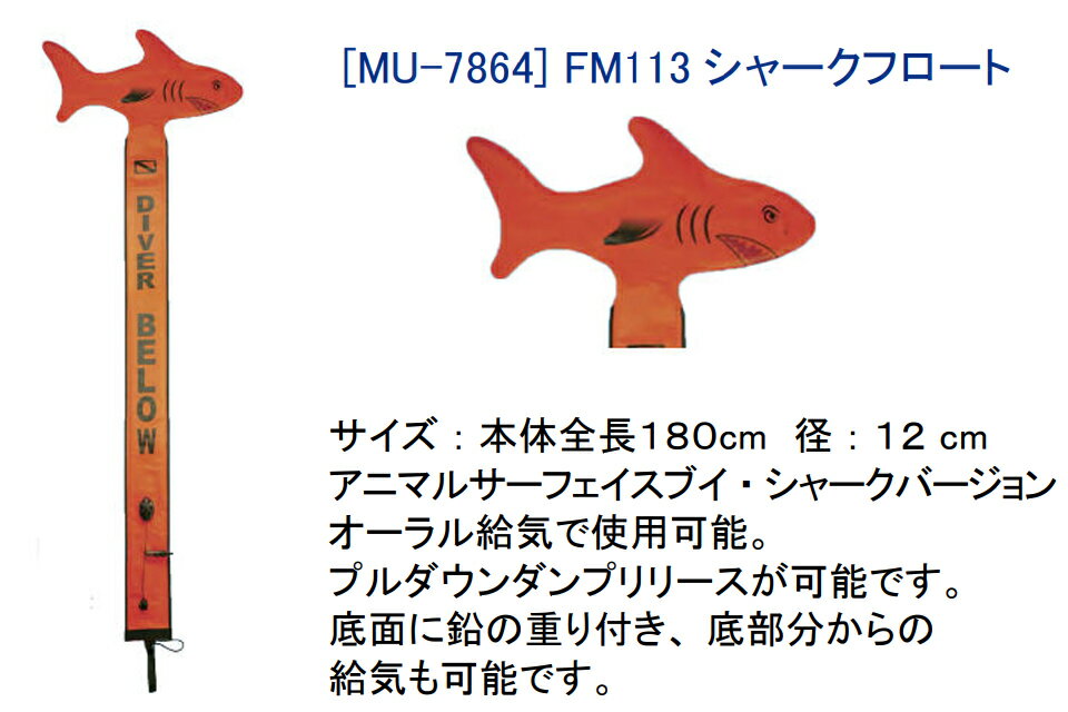 �ɥ�ե���ե����� ���㡼���ե����� �����С� �ޡ����� �֥��ե����� �����ʥ� �����ӥ� ����������ӥ� �ե꡼�����ӥ󥰥����ʥ�ե����� �ޡ����� SMB �����ե����ޥ����֥� �����եƥ����ե�����