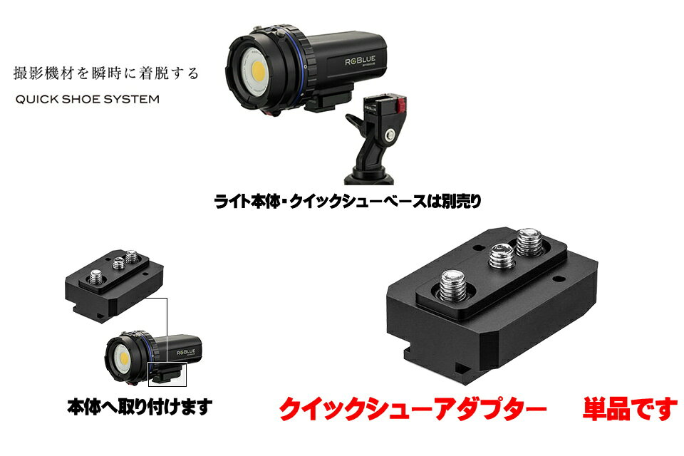 RGBlue �����å����塼�����ץ��� RGB1 �����른���֥롼 QSA-RGB1�ӥǥ��饤�� ����饤�� LED �����å� �����ץ��� ���祤��� �饤�� ���ȥ��ܡ����������꡼