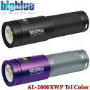 BIGBLUE BLACK MOLLY4 AL-2000XWP Tri Color ビッグブルー 水中ライトブラックモリー4 ダイビング ライト ストロボ ランタン リチウムイオン 100M完全防水 1800ルーメン LED