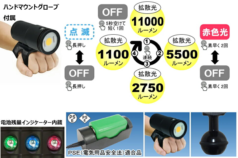 BIGBLUE �ӥå��֥롼 ����饤�� CB-11000P 11000�롼�������ӥ� �饤�� ���ȥ��� ��󥿥� ���Ŵ��դ�������।�������� 100M�����ɿ� �ӥǥ��饤��