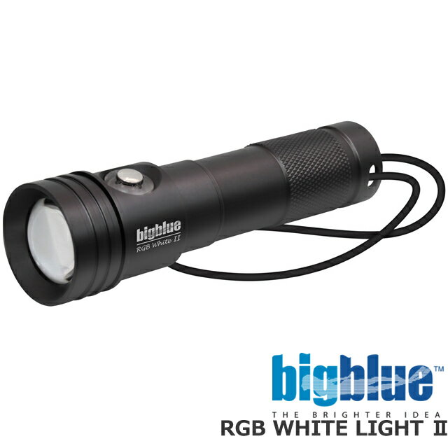 BIGBLUE ビッグブルー 水中ライト LED RGB White LIGHT 2ダイビング ライト ストロボ ランタン 電池式 100M完全防水　500ルーメン　プッシュ式