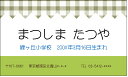 みどりチェックのお店(子ども名刺)30枚 【送料無料】