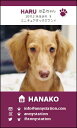 WAN☆ショット・T-スクエア【マルーン】(ペット名刺) 30枚 【送料無料】犬 猫 ウサギ 鳥 などお好きなペットで♪