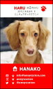 WAN☆ショット・T-スクエア【レッド】(ペット名刺) 30枚 【送料無料】犬 猫 ウサギ 鳥 などお好きなペットで♪