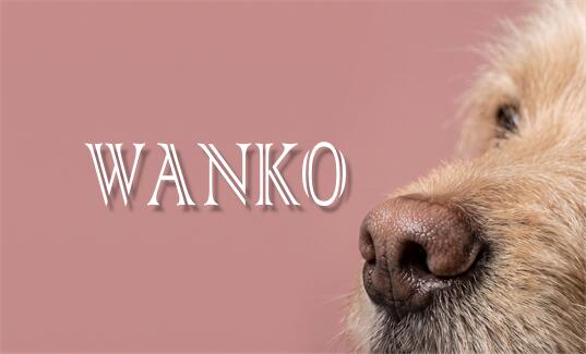 お好きなペットの写真を入れることができる名刺です。 ★印刷する文字の内容・大きさ・書体・レイアウトなどの変更ができます。 ◆フォント（書体）の見本は、こちらをご覧ください。 和文フォント（日本語）　 欧文フォント（数字・アルファベット）　 【追加オプション】 ＜初回のみ＞同じデータを使用する場合、次回からは不要です。 ・QRコード作成：200円（税抜き） ・地図作成：1000円（税抜き） 　■ ■ ■ 作成手順 ■ ■ ■　 ご注文後こちらから印刷内容をお伺いするメールを送らせていただきます。 そちらに記載内容と画像を添付して返信してください。 ★印刷する内容は後で変更できますのでご安心ください。 ご希望がございましたらお気軽にご相談くださいませ。 ※必ず当店からのメールを受信できるよう、設定をお願いいたします。 必ず2営業日以内にご連絡させていただいておりますので、 メールが来ないと思われた方は、お問い合わせからでもかまいませんのでご連絡くださいませ。 名刺の作成手順について　詳しくはこちらをご覧ください 　■ ■ ■ 台紙について ■ ■ ■　 ■名刺のサイズは、91mm×51mmの一般的な名刺サイズです。 ■用紙は、ホワイト・マット紙になります。 ■写真仕上げのつやあり光沢紙（表面のみ）に変更できます。（商品代金が500円アップします。） ※ご指定のない場合は、ホワイト・マット紙で作成いたします。 　■ ■ ■ 配送方法について ■ ■ ■　 ■送料無料の配送方法はゆうパケット（メール便）になります。 それ以外の配送は有料です。（以下参照ください） また、それぞれの配送方法に関してのご注意を必ずお読みください。 ■ゆうパケット（1〜4日後着）：無料（ポスト投函・補償なし・追跡あり） ■ネコポス（速達）：350円（ポスト投函・3000円まで補償あり） ■レターパックプラス（速達）：520円（宅配・補償あり） ■ゆうパック：650円〜 （宅配・補償あり・送料別途記載） ★ゆうパケットについてご注意 郵便局の配達で、ポストに投函です。 損害賠償制度がありませんので、破損・紛失等があった場合でも、 賠償制度の対象となりませんのでご注意ください。 お届けは、【郵便局の荷物お問い合わせシステム】にて 【投函完了】となった時点で完了とさせていただきます。 トラブルが発生した場合は郵便局にお問い合わせください。 当店では責任を負えませんのでご了承くださいませ。 ★ネコポス（速達）についてご注意 クロネコヤマトの配達で、ポストに投函です。 荷物の紛失・破損に対する引受限度額は3,000円（税込）です。 発送からお届けまでの日数は、全国翌日配達です（一部地域を除く） 日時指定には対応しておりません。 トラブルが発生した場合は、クロネコヤマトにお問い合わせください。 当店では責任を負えませんのでご了承くださいませ。 もしもご心配な場合は、宅配便での配送をお選びくださいませ。 ★印刷する文字の内容・大きさ・色・位置・書体の変更ができます。 ◆フォント（書体）の見本は、こちらをご覧ください。和文フォント（日本語）　欧文フォント（数字・アルファベット）　 OKを頂いてから発送までに3-4日程お時間がかかりますが ---------------------------------------------- 100枚（両面印刷可能）送料無料で 3,300円 ---------------------------------------------- でも承ります。 用紙はマット紙・光沢紙・ケント紙から選べます。 こちらは、裏面印刷も可能ですので、裏面に色を付けたり、 文字やQRコード、地図やお写真などをお入れすることも可能です。 100枚（両面印刷可能）送料無料のご注文はこちらから ペット名刺 100枚 3,300円 送料無料うちの子が主役！世界にひとつだけのペット名刺 ドッグランやオフ会でのご挨拶に。 お気に入りの写真を送るだけで、お洒落な名刺が完成します。 ☆ AnnyStationの3つのこだわり 1. 面倒な「背景切り抜き」は無料！ 生活感のある背景も、プロの技術で綺麗にカット。まるでスタジオで撮影したような仕上がりに。 2. トレンドの「くすみカラー」3色展開 表面は「ダスティピンク」「くすみブルー」「セージグリーン」から選択可能。ペットの毛色に合わせてお選びください。 3. QRコード＆自由なテキスト配置 裏面（オフホワイト）には、InstagramのQRコードや性格、お誕生日など、お好きな情報を自由に印字できます。 選べる3つのメインカラー ダスティピンク くすみブルー セージグリーン 裏面デザイン 優しいオフホワイトをベースに、可愛い足跡をあしらいました。SNSのQRコードやアピールポイントを自由にお入れします。 【商品詳細】 両面印刷（カラー） / 100枚セット / 背景切り抜き加工代込み 納期：データ確定後、約5営業日での発送