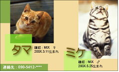 https://thumbnail.image.rakuten.co.jp/@0_mall/anysta/cabinet/pet/pazl7091.jpg
