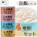 缶詰 詰め合わせ 吉野家 缶飯 牛丼 豚丼 送料無料 レトルト インスタント まとめ買い 非常食 保存食 防災 食品 4種セット 備蓄 常温保存 焼鶏丼 焼塩さば丼 どんぶり あす楽 おつまみ 食品 プチギフト プレゼント 景品 ローリングストック