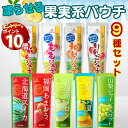 【エントリーでポイント10倍】シャーベット スティック 常温 パウチ ドリンク 果実ジュース 凍らせて アイス 送料無料 冷凍 業務用 ジュース 詰め合わせ パック ジェラート アイスクリーム アイスキャンディー かき氷 スイーツ フルーツバー アソート ゴールドパック 10種セ