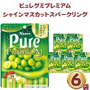 お菓子 詰め合わせ ピュレグミ プレミアム シャインマスカット スパークリング グミ 6個セット 送料無料 まとめ買い あす楽 クリスマス スイーツ 期間限定 駄菓子 キャンディ カンロ 甘酸っぱい 果実ジュレ 定番 プチ ギフト おやつ 小腹 リピ お祝い イベント 学童