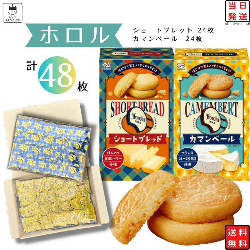 《父の日 プレゼント》 お菓子 詰め合わせ 送料無料 ばら売り 小分け 個包装 子供 プレゼント スイーツ 駄菓子 駄菓子屋 駄菓子セット まとめ買い 不二家 ホロル 2種 48枚 焼き菓子 ブラウニー ショートブレット カマンベール クッキー サブレ 大容量 fujiya 食品 おや