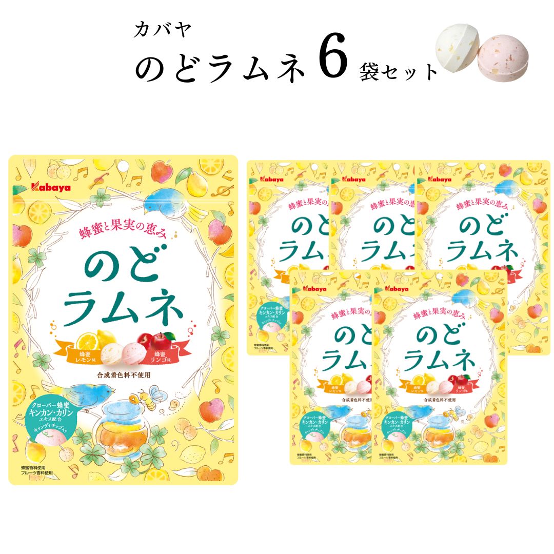 《父の日 プレゼント》 お菓子 詰め合わせ 送料無料 清涼菓子 カバヤ のどラムネ 58g 6袋 まとめ買い ストック ラムネ菓子 駄菓子 おやつ はちみつ りんご レモン 喉飴 のどケア