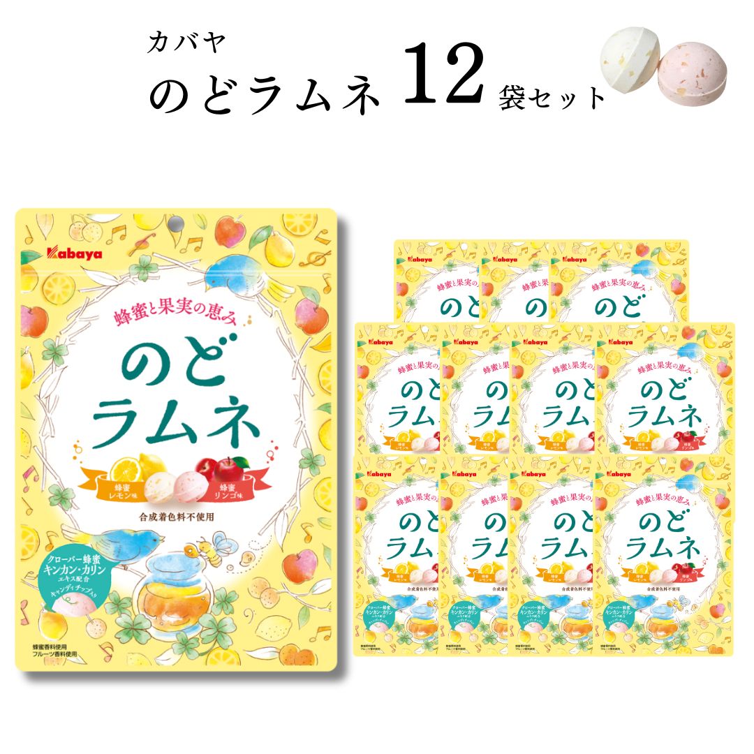 《父の日 プレゼント》 お菓子 詰め合わせ 送料無料 清涼菓子 カバヤ のどラムネ 58g 12袋 まとめ買い ストック ラムネ菓子 駄菓子 おやつ はちみつ りんご レモン 喉飴 のどケア