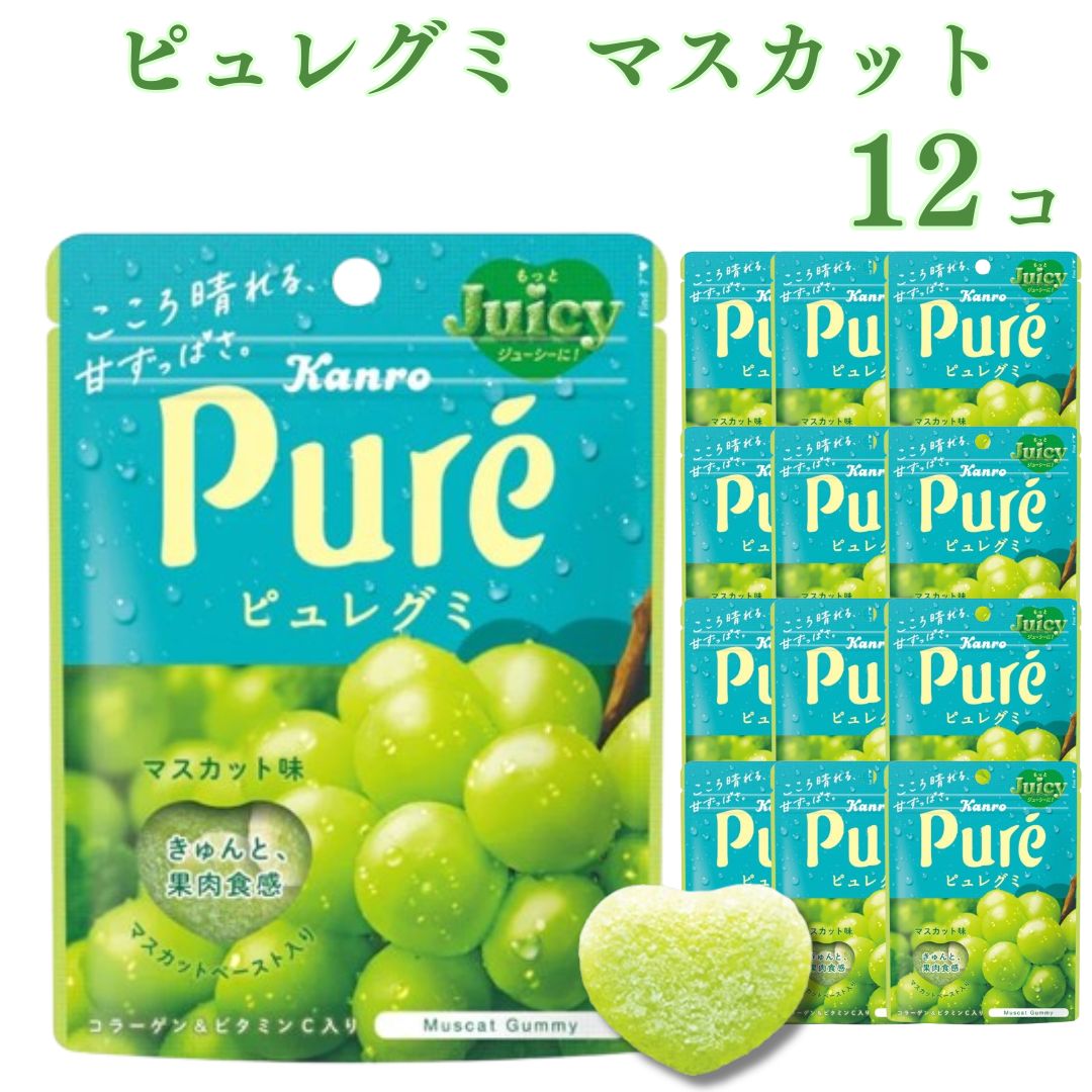 グミ 《父の日 プレゼント》 お菓子 グミ カンロ ピュレグミ マスカット 56g 12袋 送料無料 まとめ買い ストック