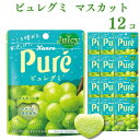 グミ 《母の日 プレゼント》 お菓子 グミ カンロ ピュレグミ マスカット 56g 12袋 送料無料 まとめ買い ストック