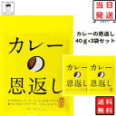 《クーポン配布中》 カレー スパイス セット 送料無料 カレーの恩返し 40g×3袋 カレー粉 カレースパイス あす楽 レトルト インスタント食品 インスタント 仕上げ用 隠し味 カレーうどん カレーライス 鍋 粉末 タンドリーチキン レトルトカリー 肉じゃが プチギフト アレンジ