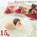 お菓子 詰め合わせ 送料無料 個包装 小分け ばら売り 駄菓子 駄菓子セット 駄菓子屋 いちごチョコ 苺まるごとチョコで包みました 15個入り スイーツ イチゴ...