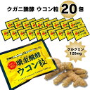 《母の日 プレゼント》 1000円ポッキリ 送料無料 サプリメント ウコン 粒 錠剤 20包 琥金醗酵 ウコン 錠 お試し クガニ醗酵 ばら売り ポイント消化 健康サプリ