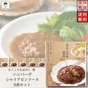 レトルト 惣菜 常温 洋風 おかず レトルト食品 常温保存 詰め合わせ 送料無料 惣菜セット 食品 ハンバーグ シャリアピンソース 6食 あす楽 インスタント食...