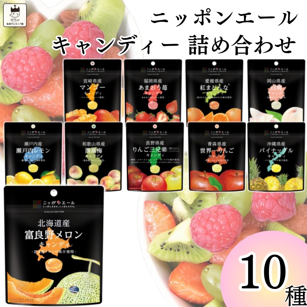 お菓子 詰め合わせ 全農ニッポンエールキャンディ 10種 北