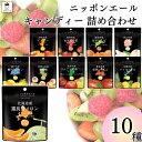 飴 キャンディ お菓子 詰め合わせ 送料無料 全農ニッポンエールキャンディ 10種 まとめ買い ストック 買い置き 大量 子供 おやつ 子供会 運動会 食べ比べ...