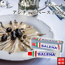 アンチョビペースト バレーナ 50g 送料無料 無添加 BALENA ペースト状 イタリア フィレンツェ パスタ 手軽 お手軽 チューブ入り