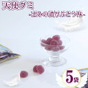 グミ 詰め合わせ まとめ買い 送料無料 天使のグミ 5袋 恵みの濃厚ぶどう味 ぶどう グレープ grape おやつ ストック 保存 遠足 運動会 ピクニック 児童館 子供会 プレゼント 買い置き 果実感 ジュレ 極上食感 お菓子 駄菓子