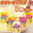 お菓子 詰め合わせ ポテトチップス 5種 各2袋 合計10袋セット カルビー 送料無料 北海道バターしょうゆ味 のり塩パンチ 白しょうゆ 関西だししょうゆ 九州...