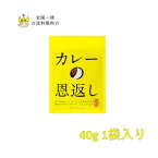 1000円ポッキリ 送料無料 ポイント消化 カレー スパイス セット カレーの恩返し カレー粉 カレースパイス あす楽 レトルト インスタント食品 インスタント 仕上げ用 隠し味 カレーうどん カレーライス 鍋 粉末 タンドリーチキン レトルトカリー 肉じゃが プチギフト アレンジ