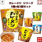 《母の日 プレゼント》レトルト食品 詰め合わせ 常温保存 レトルト 惣菜 カレー ごはん まとめ買い お試し 送料無料 日清 カレーメシ 5種 各2個 10食 セット ライスヌードル インスタント食品 カップ飯 カップライス 試食 防災 非常食 備蓄 ビーフ キーマカレー シーフード