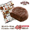 カントリーマアム チョコまみれ 送料無料 チョコレート お菓