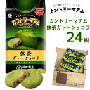 ブラウニー 《母の日 プレゼント》 1000円ポッキリ 送料無料 ポイント消化 不二家 カントリーマアム 抹茶ガトーショコラ ばら売り お菓子 詰め合わせ 個包装 子供 駄菓子 駄菓子屋 駄菓子セット プチギフト まとめ買い 焼き菓子 クッキー ブラウニー フィナンシェ fujiya 食品 おやつ