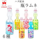 ハタ鉱泉 瓶ラムネ 6種 ラムネ イチゴ味 メロン味 パイン味 ブルーベリー味 オレンジ味 瓶 ジュース サイダー ビンラムネ ビー玉入り 詰め合わせ 夏休み お祭り イベント アソート 景品 子供会 帰省