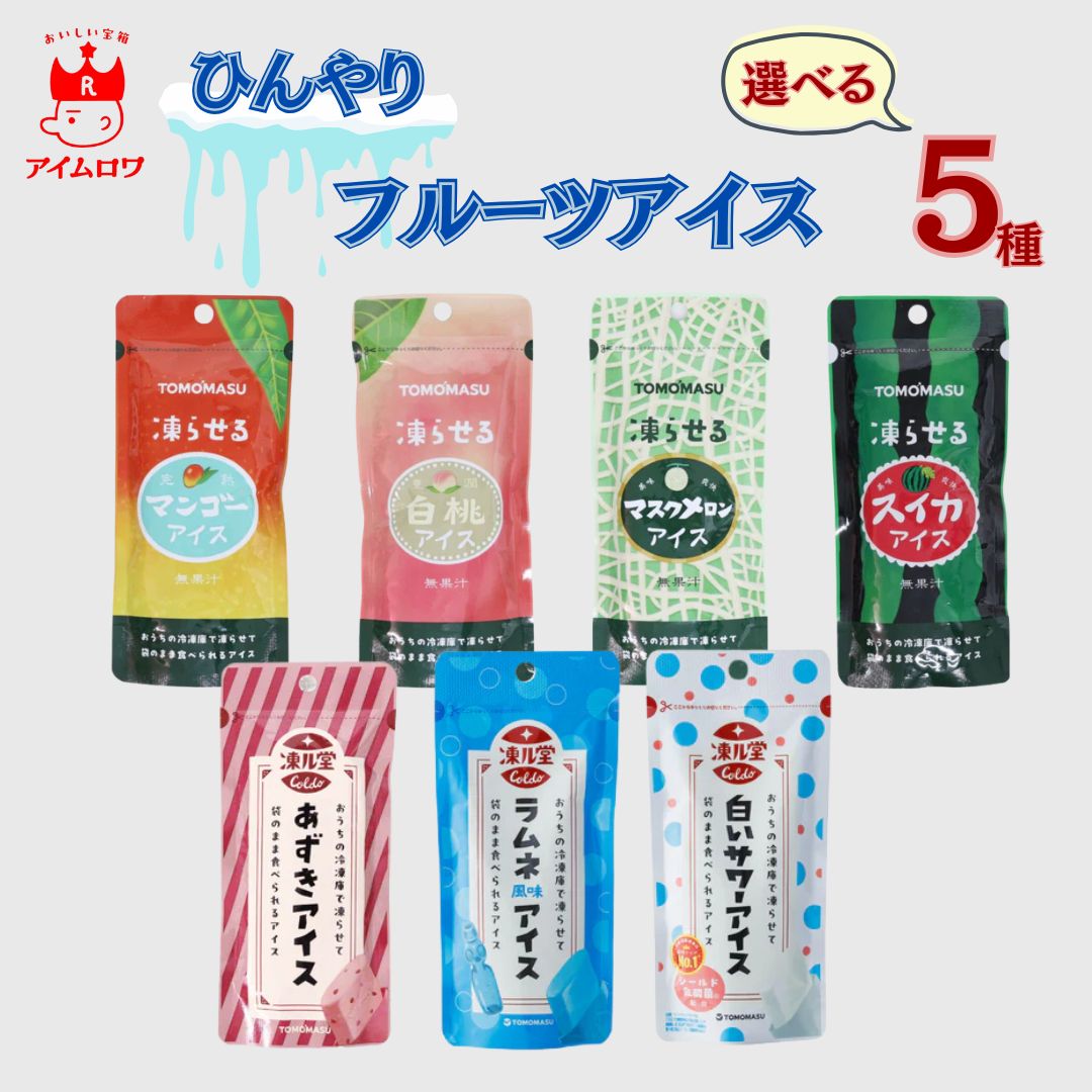 1000円ポッキリ 送料無料 選べる5種 果実アイス 凍る堂アイス 7種セット スイカ 白桃 マンゴー マスクメロン あずき ラムネ 白いサワー フルーツシャーベット ジュースバー 冷凍 常温保存 備蓄 スイーツ 友桝飲料のサムネイル