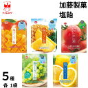 1000円ポッキリ 送料無料 加藤製菓 塩飴 5種各1袋 飴 キャンディー あめ 塩 塩分 塩味 熱中症対策 マスカット パイン マンゴー とまと レモン フル...