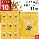 かきたね 和風カレー 10袋セット おつまみ おつまみセット 柿の種 ギフト かきのたね フレーバー お菓子 詰め合わせ 駄菓子 業務用 まとめ買い あす楽 プチギフト おかき 柿ピー おやつ 宅飲み 家飲み ストック まとめ買い 買い置き 送料